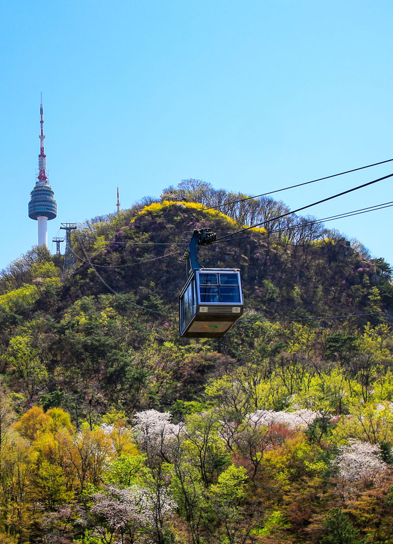 남산과 서울 시내 전경